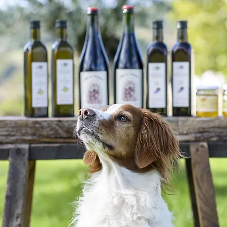 农家乐 Querceto *