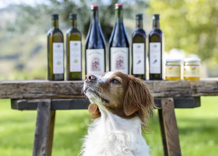 Farm stay Agriturismo Querceto *